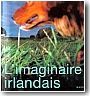 L'imaginaire irlandais